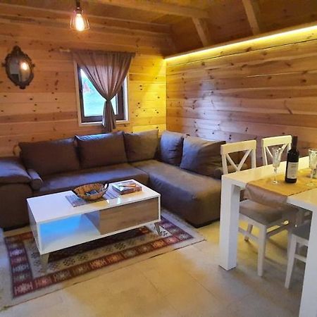자블야크 Mountain House Bjanka 빌라 외부 사진
